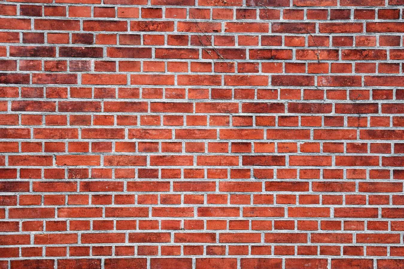 Brick pointing
